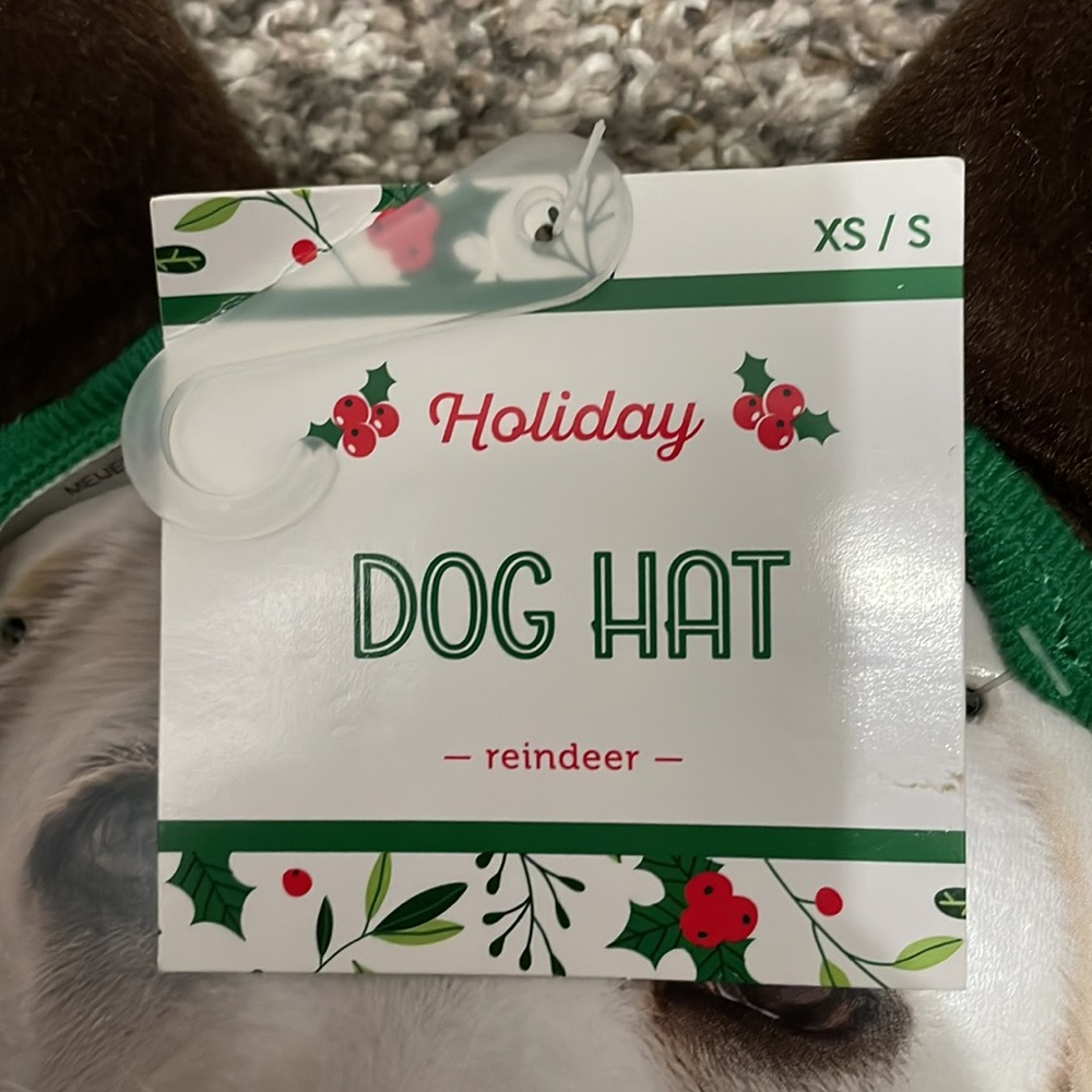 Dog Reindeer Hat Headband - Picture 3 of 7